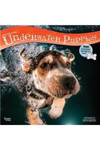 Underwater Puppies 2019 Square