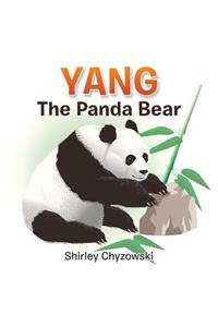 Yang the Panda Bear