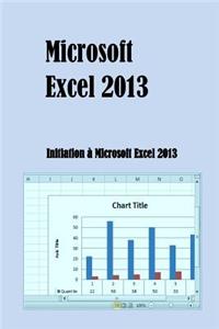 Microsoft Excel 2013