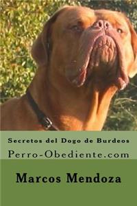 Secretos del Dogo de Burdeos
