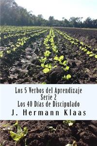 Los 5 Verbos del Aprendizaje