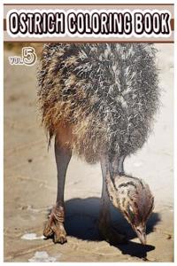 Ostrich