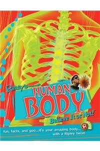 Ripley Twists Pb: Human Body