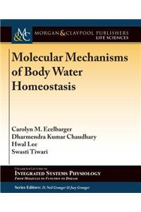 Molecular Mechanisms of Body Water Homeostasis