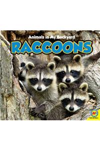 Raccoons [With Web Access]