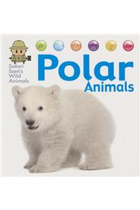 Polar Animals