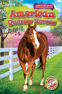 American Quarter Horses