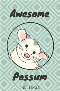 Opossum a notebook and daily gifts