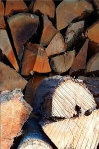 2020 Daily Planner Sunlight Shadows Woodpile 388 Pages