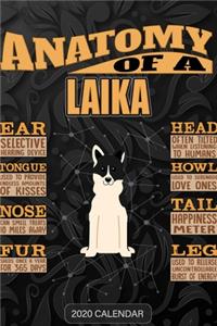Anatomy Of A Russo European Laika