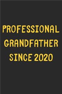 Professional Grandfather Since 2020