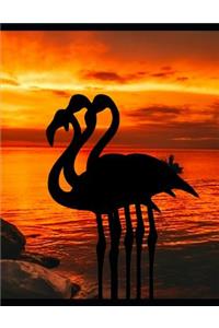Flamingos