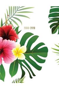 2018-2019