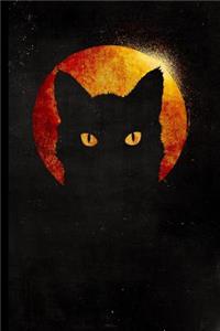 Cateye Sunset