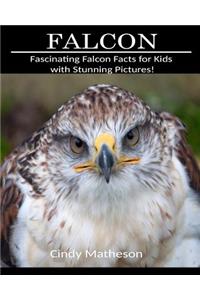 Falcon: Fascinating Falcon Facts for Kids with Stunning Pictures!