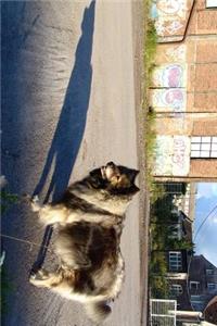 A Keeshond Dog Going on a Walk Journal