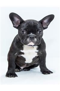 French Bulldog Notebook