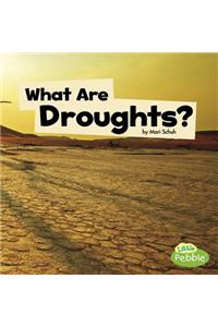 What Are Droughts?