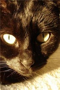 Black Cat Notebook