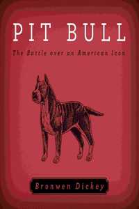 Pit Bull