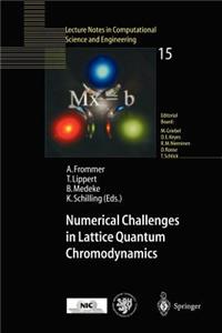 Numerical Challenges in Lattice Quantum Chromodynamics