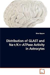 Distribution of GLAST and Na+/K+-ATPase Activity in Astrocytes