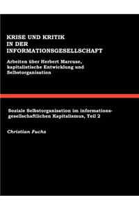 Krise und Kritik in der Informationsgesellschaft