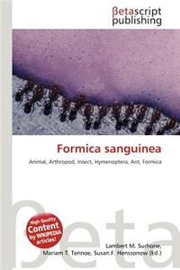 Formica Sanguinea