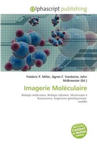 Imagerie Mol Culaire
