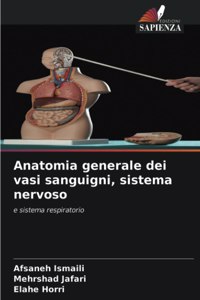 Anatomia generale dei vasi sanguigni, sistema nervoso
