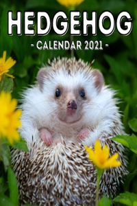 Hedgehog Calendar 2021