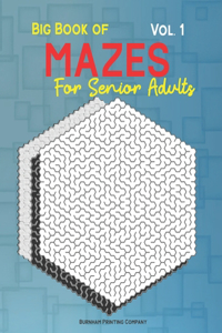 Big Book of Mazes for Senior Adults Vol. 1