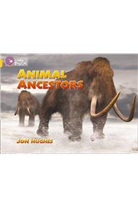 Animal Ancestors