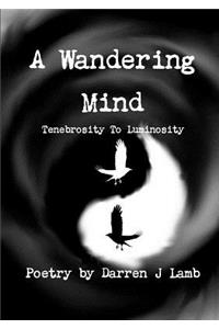 A Wandering Mind Tenebrosity To Luminosity