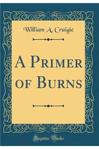 A Primer of Burns (Classic Reprint)