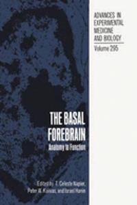 Basal Forebrain