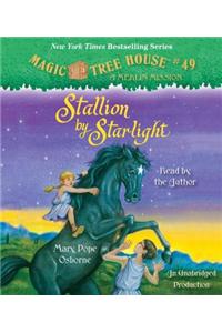 Stallion by Starlight
