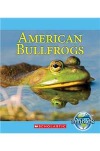 American Bullfrogs