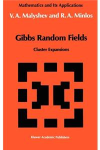 Gibbs Random Fields