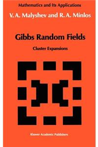 Gibbs Random Fields