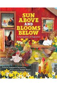 Sun Above Blooms Below