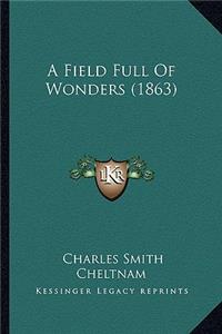 Field Full of Wonders (1863)