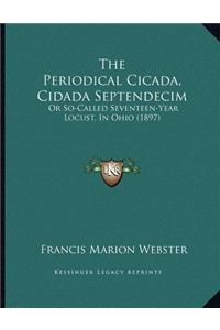 The Periodical Cicada, Cidada Septendecim