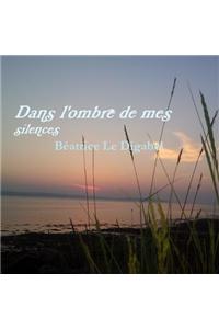 Dans l'ombre de mes silences