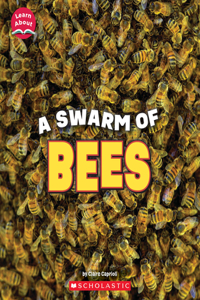 Swarm of Bees (Learn About: Animals)