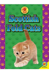 Scottish Fold Cats