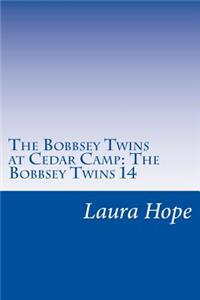 Bobbsey Twins at Cedar Camp