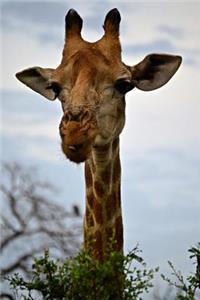 Say Hello to the Giraffe Journal: 150 Page Lined Notebook/Diary