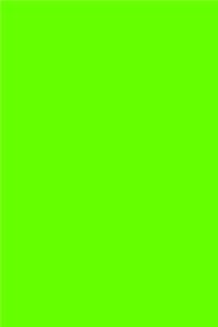 Journal Bright Green Color Simple Plain Green