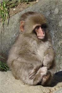 Such a Cute Little Japanese Snow Monkey Baby Journal